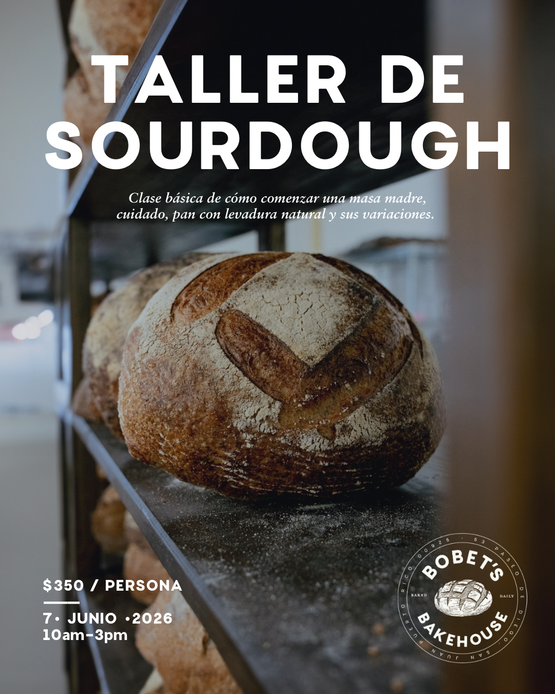 Taller: Sourdough 101 (JUN 7)