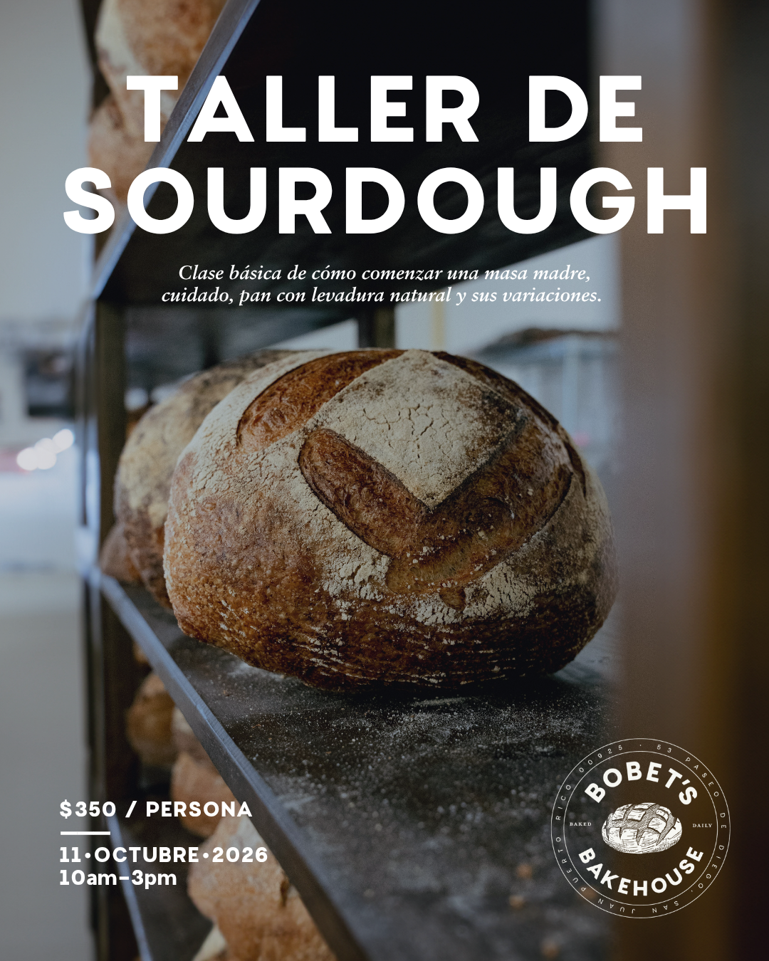 Taller: Sourdough 101 (OCT 11)